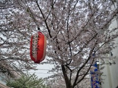 バカなんじゃねーの！？