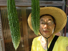 ゴーヤさん