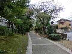 遊歩道