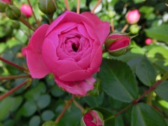 蒸し暑かったり