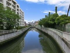 年金手続きの話