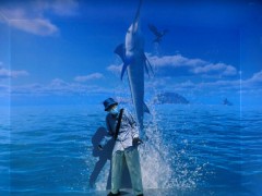 領土・主権展示館