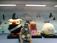 領土・主権展示館