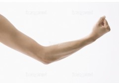 カラダどこから…