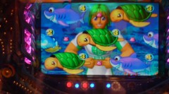 今年の引きってば…