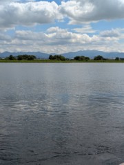 昨日は軽い熱中症になったかな？