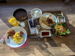 明日の予定と報告