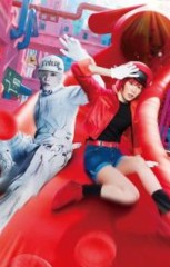 久しぶりの日記になりました