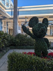 今日は、ここにいる