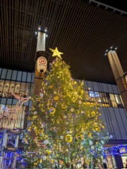 【お題日記】クリスマスの夜はどうだった？