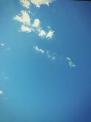 梅雨があけた(* ≧∀≦*)