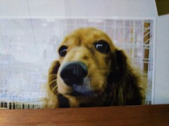 【お題日記】会話に必要なものってなに？