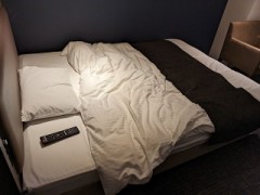 【お題日記】今まで一度しか見たことがないアレ