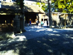 【お題日記】自分は誘うタイプ？誘われるタイプ？