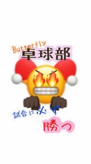 【お題日記】バタフライピーって知ってる？