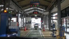 【お題日記】自分を花に例えるとどんな花？