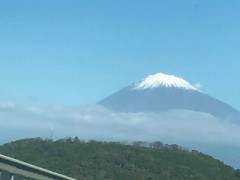 【お題日記】携帯でTV見てる？