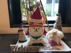 【お題日記】今年一番うれしかったこと