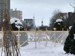 【お題日記】子供の頃好きだった遊び