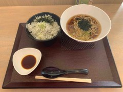 【お題日記】遊んでそうな芸能人