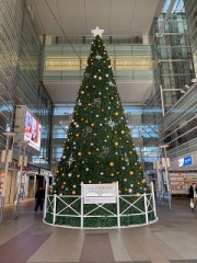 【お題日記】特別な夜に挑戦してみたい大胆な演出は？