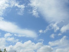 いつだって本当は