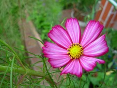 さよなら、夏休み。