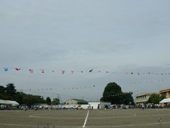 休みと微熱と・・・