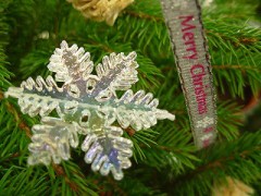 元彼達からきたぞ（何