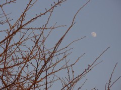 つながっていたい