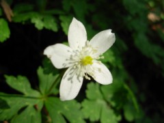 ぴくぴく・・・・・