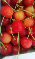 お口に含んでっ