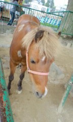 友人の不倫その後