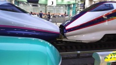 【お題日記】あなたの愛情表現方法は？