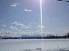 原発大丈夫…癒し画貼り