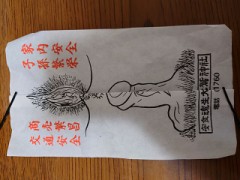 裏表同時ブログ（表からみてね）