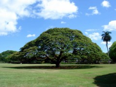 公園でノンビリ