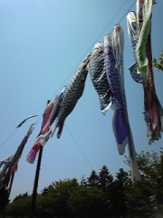 ピクニック＾＾