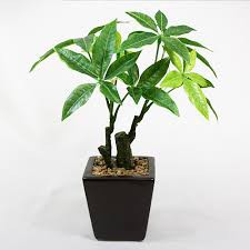 新しく始めた事