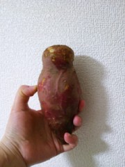 【お題日記】エッチな事を連想しちゃう物