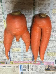 ヤバイだろー。これは。