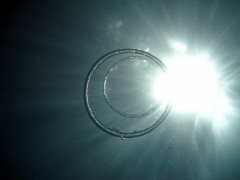 プロフ画像アップ