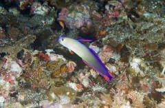 過去のつらい思い出