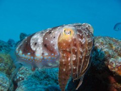 【お題日記】忘れられない夜ある？