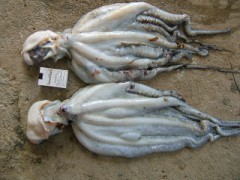 【お題日記】結婚する時に重要視することは？