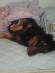 今日は休みです（ウラと一緒のタイトルｗ）