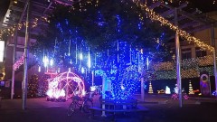 我が街のイルミネーションですよ