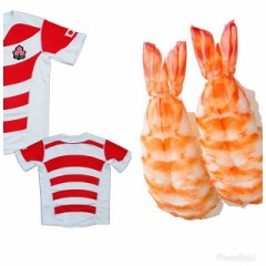 ラグビー日本のユニフォーム…