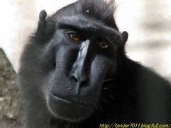 【お題日記】もっとモテたい？