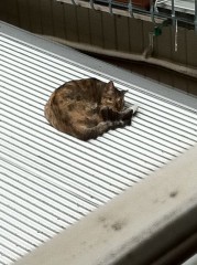 お分かりいただけるだろうか？